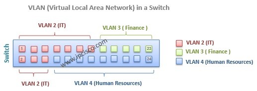 vlan port assignment