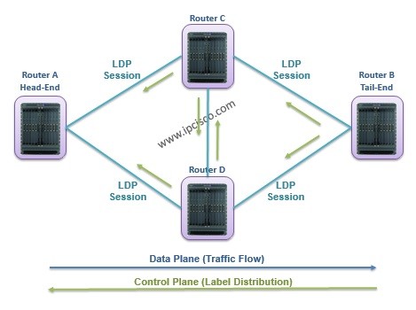 label-distribution-and-traffic-flow