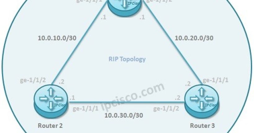 Juniper-RIP-configuration-example