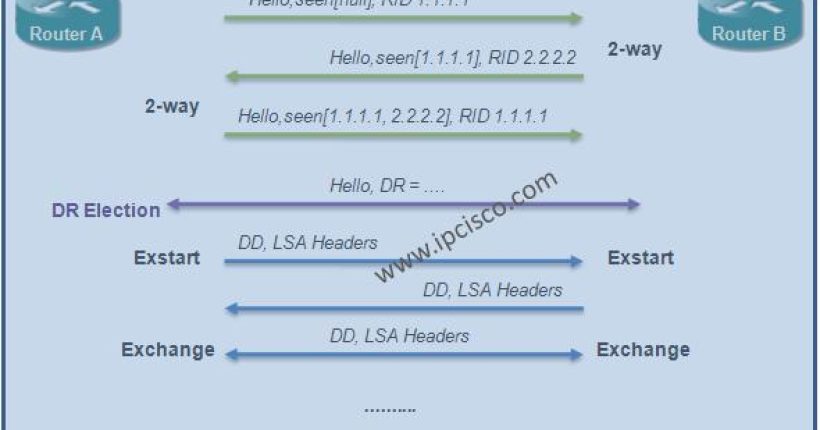 OSPF-Neighbourship-States