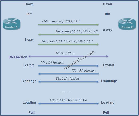 OSPF-Neighbourship-States