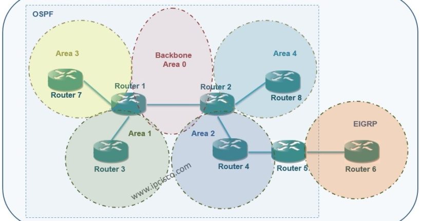 OSPF Area Types 3