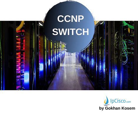 cisco-ccnp-course-ipcisco.com-2