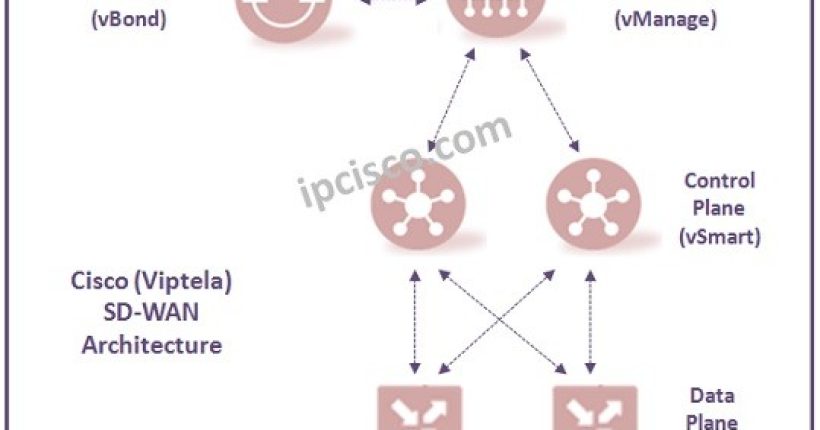 cisco-viptela-sd-wan.ipcisco.com