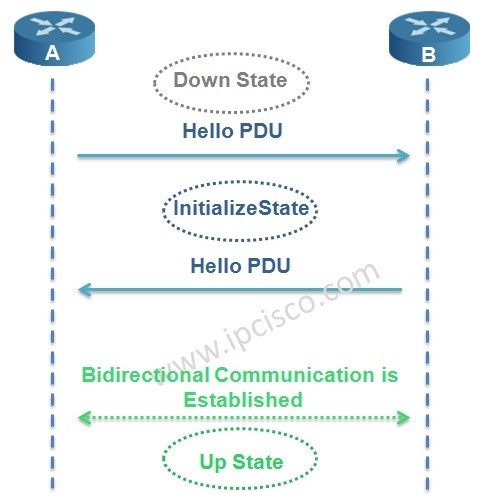isis-adjacency-states