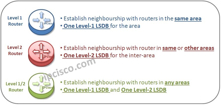 isis-router-types-ipcisco