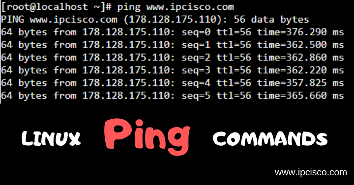 linux-ping-commands-ipcisco.com
