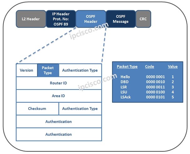 ospf-packet-types