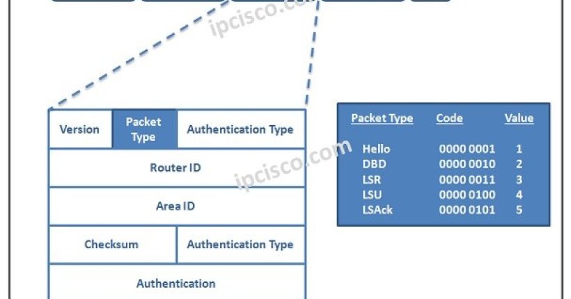 ospf-packet-types