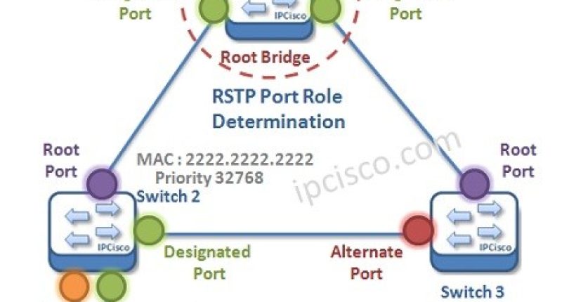 rstp-port-roles