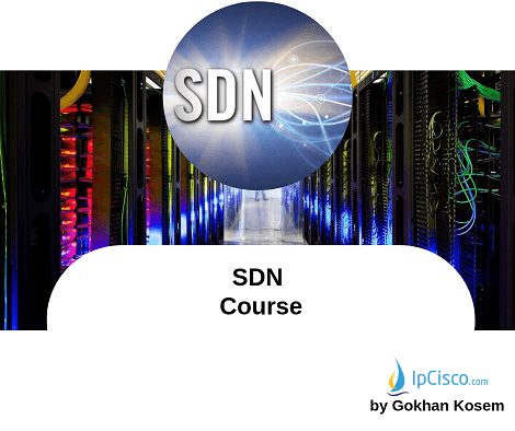 sdn-course