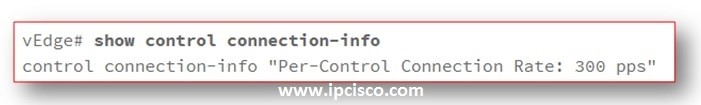 show-control-connection-info-cisco-sd-wan