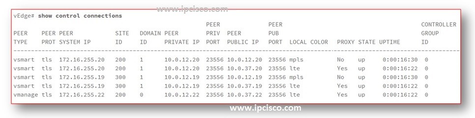 show-control-connections-cisco-sd-wan
