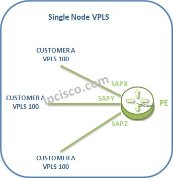 single-node-vpls