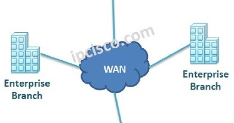 wan-topology